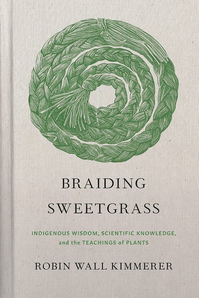 Braiding Sweetgrass book cover
