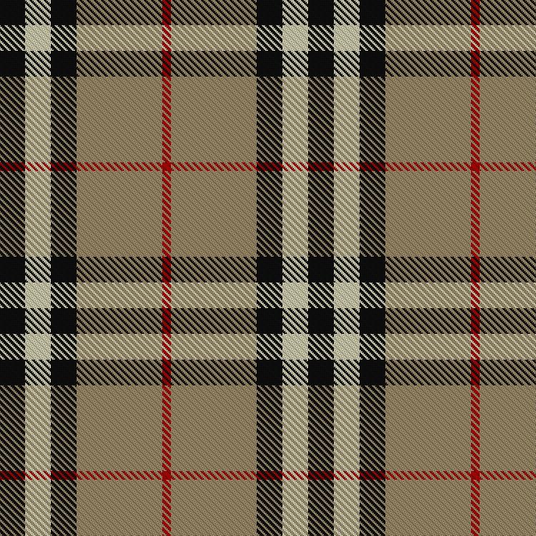 Burberry Tartan